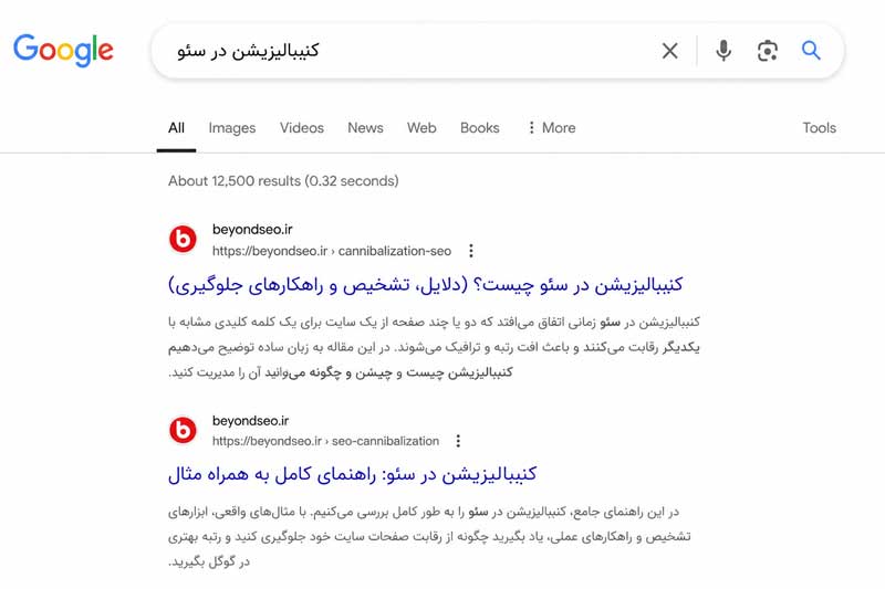 کنیبالیزیشن-در-سئو-چیست-فراتر-از-سئو
